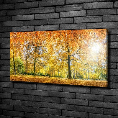 Foto op canvas Bos in de herfst