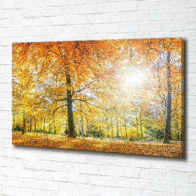 Foto op canvas Bos in de herfst