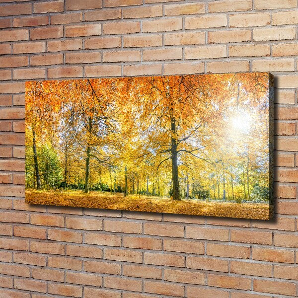 Foto op canvas Bos in de herfst