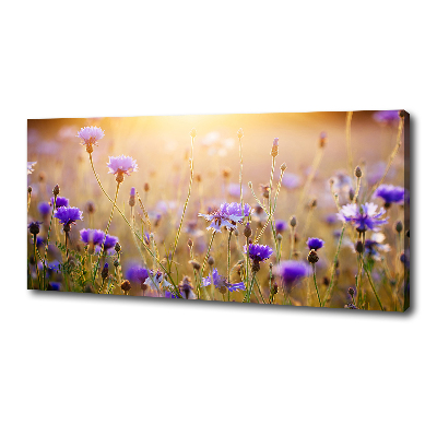 Foto op canvas Wilde bloemen