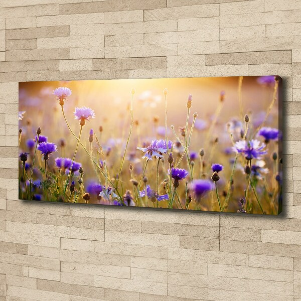 Foto op canvas Wilde bloemen