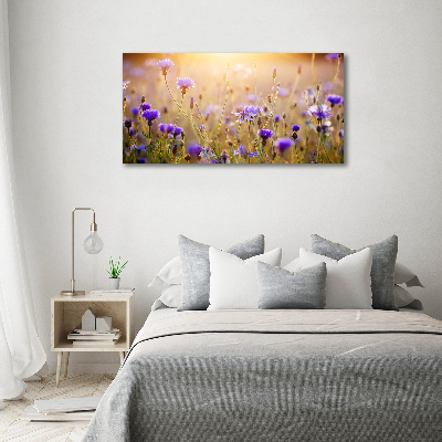 Foto op canvas Wilde bloemen
