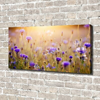 Foto op canvas Wilde bloemen