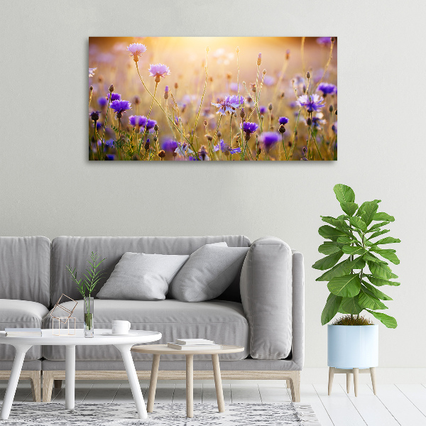 Foto op canvas Wilde bloemen