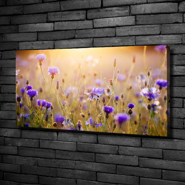 Foto op canvas Wilde bloemen