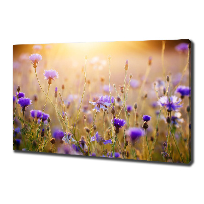 Foto op canvas Wilde bloemen