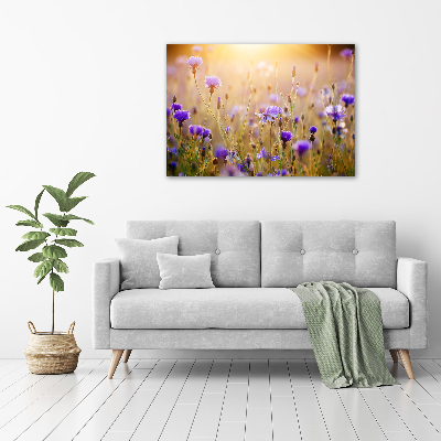 Foto op canvas Wilde bloemen