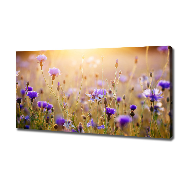 Foto op canvas Wilde bloemen