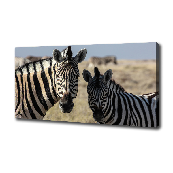 Canvas schilderij Twee zebra's