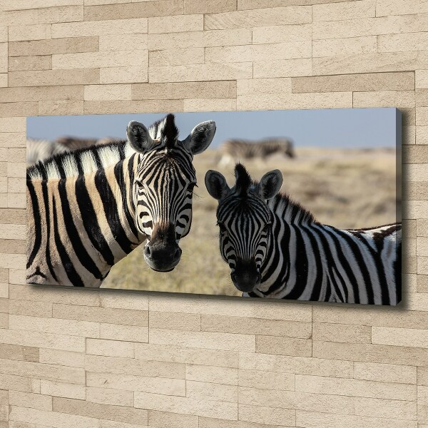 Canvas schilderij Twee zebra's