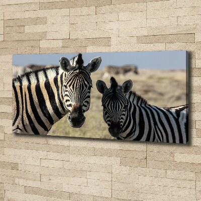 Canvas schilderij Twee zebra's