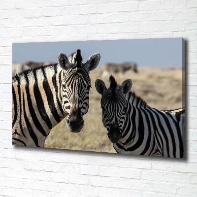 Canvas schilderij Twee zebra's