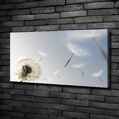 Foto obraz canvas Dmuchawiec