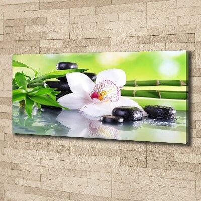Schilderij op canvas Orchidee