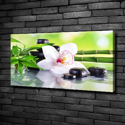 Schilderij op canvas Orchidee