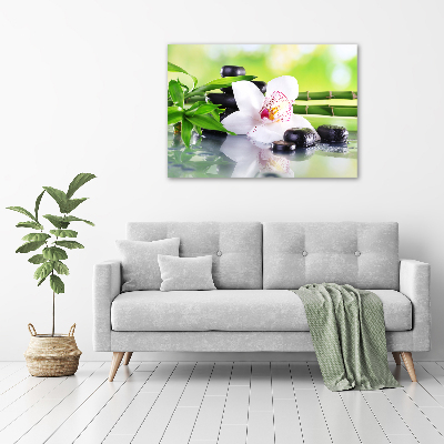 Schilderij op canvas Orchidee