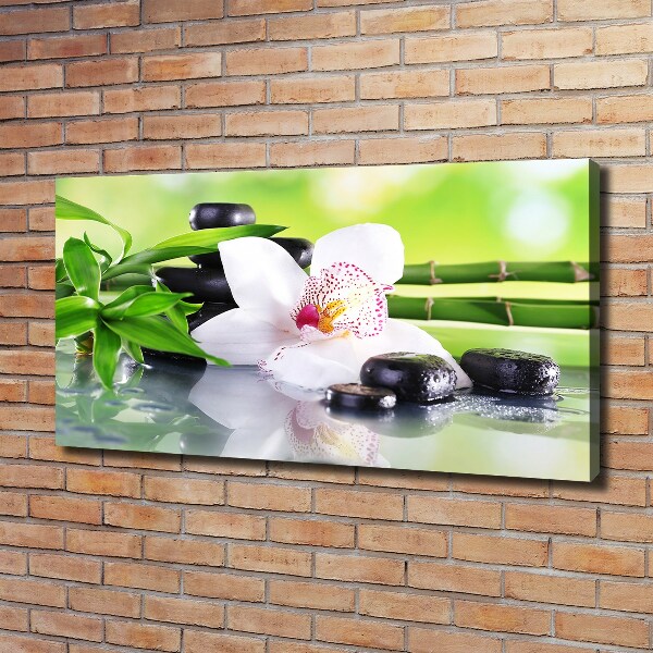 Schilderij op canvas Orchidee