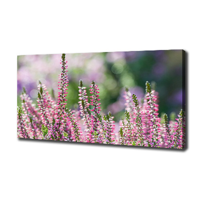 Foto op canvas Heidebloemen