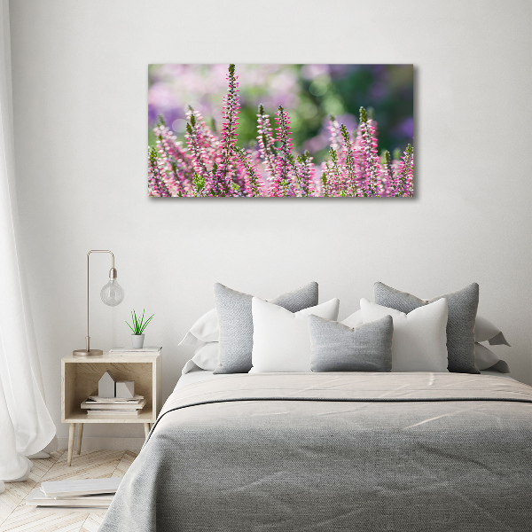 Foto op canvas Heidebloemen