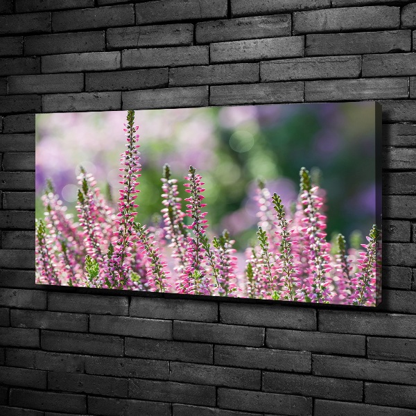 Foto op canvas Heidebloemen