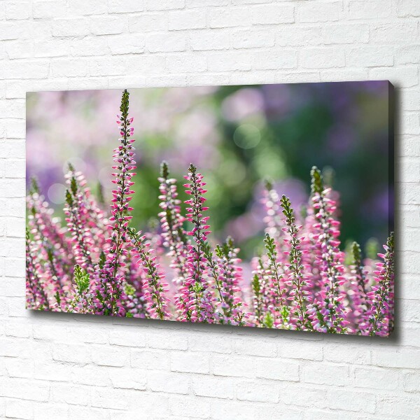 Foto op canvas Heidebloemen