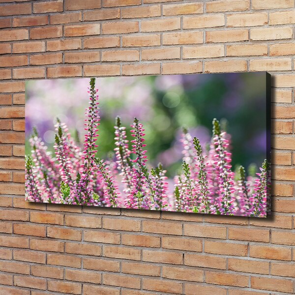 Foto op canvas Heidebloemen