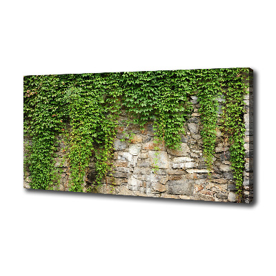 Canvas foto Groene klimop