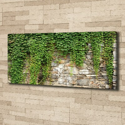Canvas foto Groene klimop