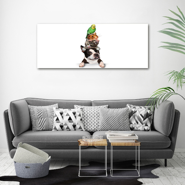 Foto op canvas Een groep dieren