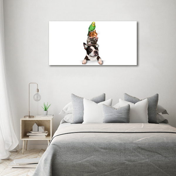 Foto op canvas Een groep dieren