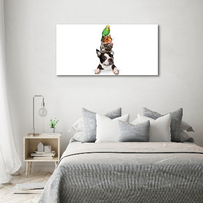 Foto op canvas Een groep dieren