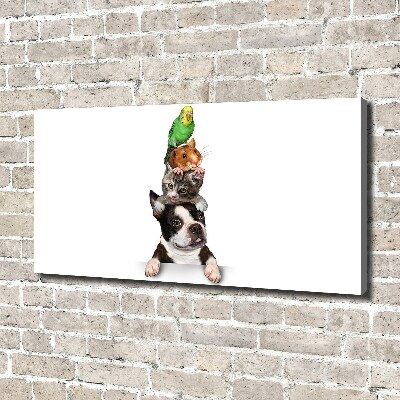 Foto op canvas Een groep dieren
