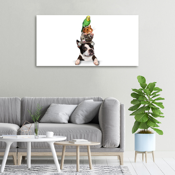 Foto op canvas Een groep dieren