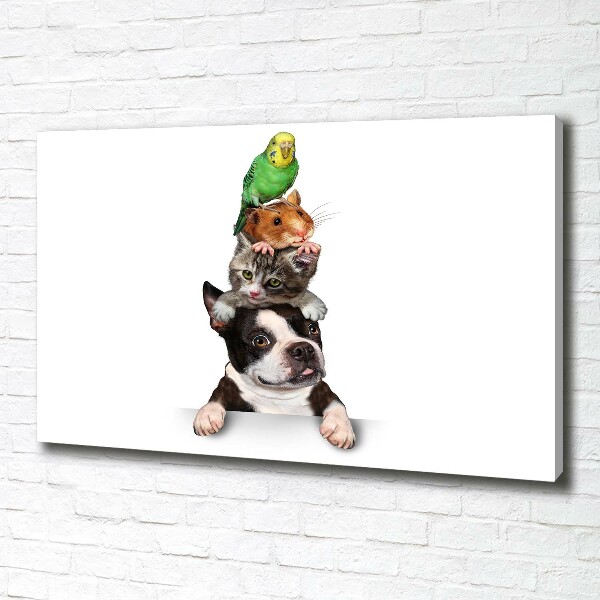 Foto op canvas Een groep dieren