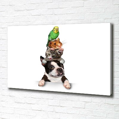 Foto op canvas Een groep dieren