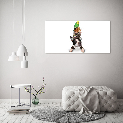 Foto op canvas Een groep dieren