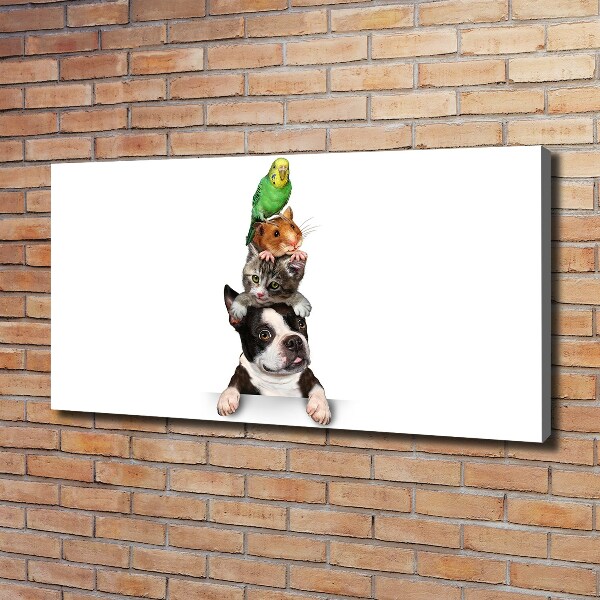 Foto op canvas Een groep dieren