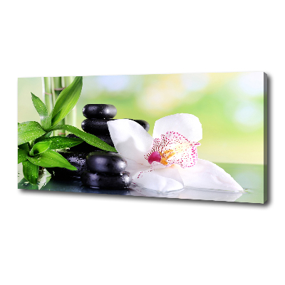 Foto obraz canvas Orchidea