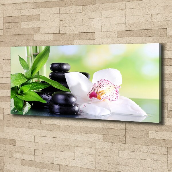 Foto canvas Orchidee