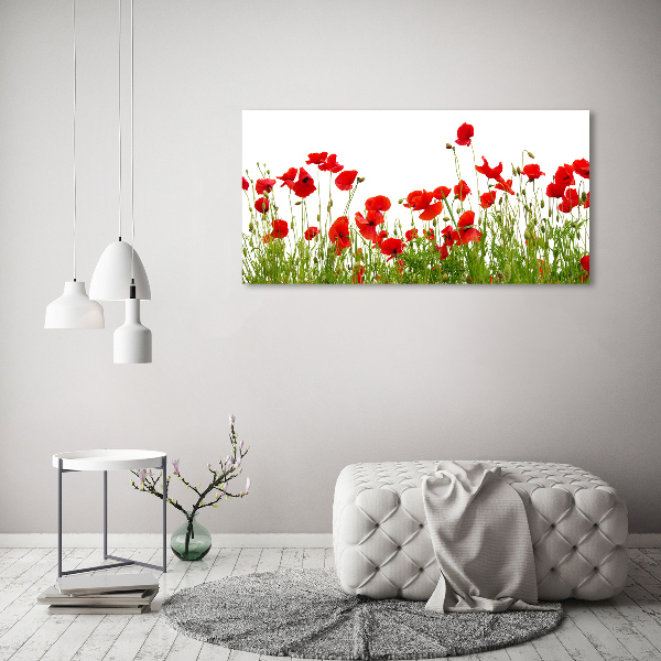 Foto op canvas Klaprozen
