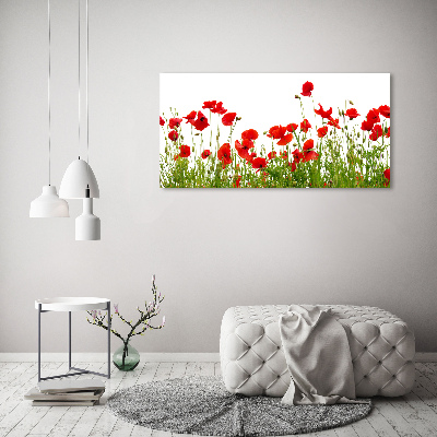 Foto op canvas Klaprozen