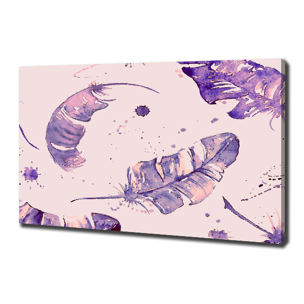 Schilderij op canvas veren