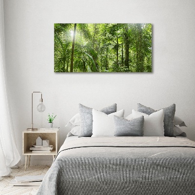 Canvas foto Tropisch bos