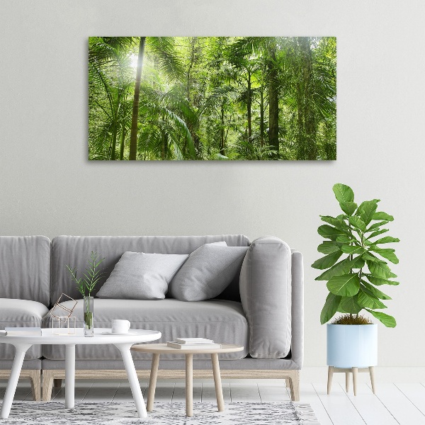 Canvas foto Tropisch bos