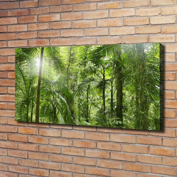 Canvas foto Tropisch bos