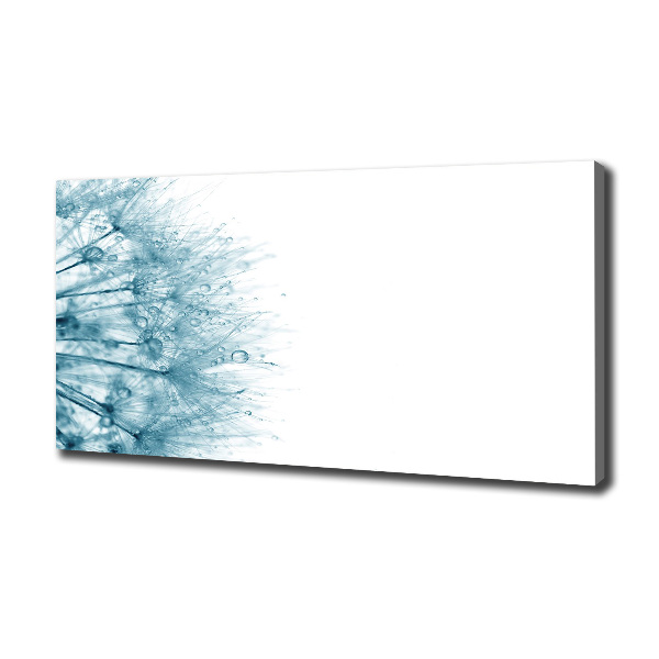 Foto obraz canvas Dmuchawiec