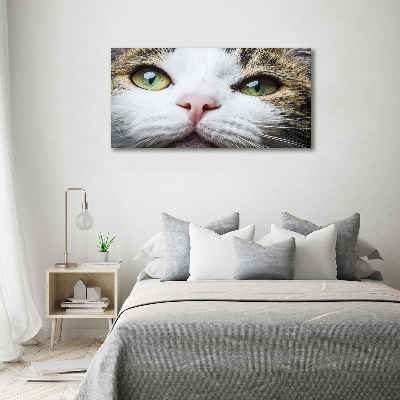 Schilderij op canvas Groene kattenogen