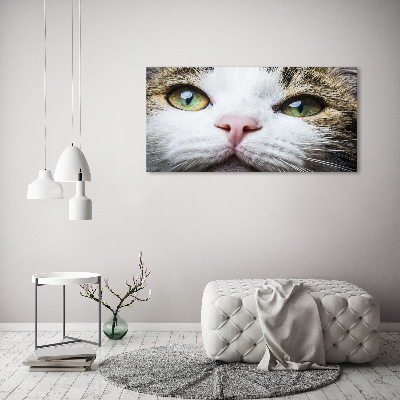 Schilderij op canvas Groene kattenogen