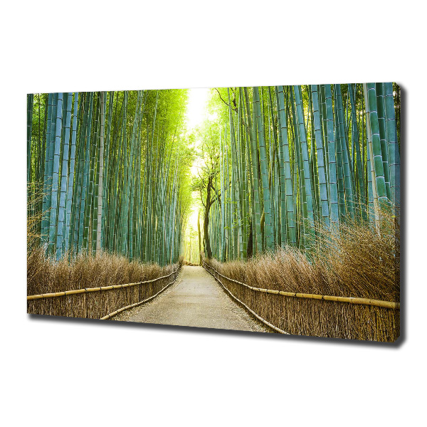 Canvas foto Bamboebos