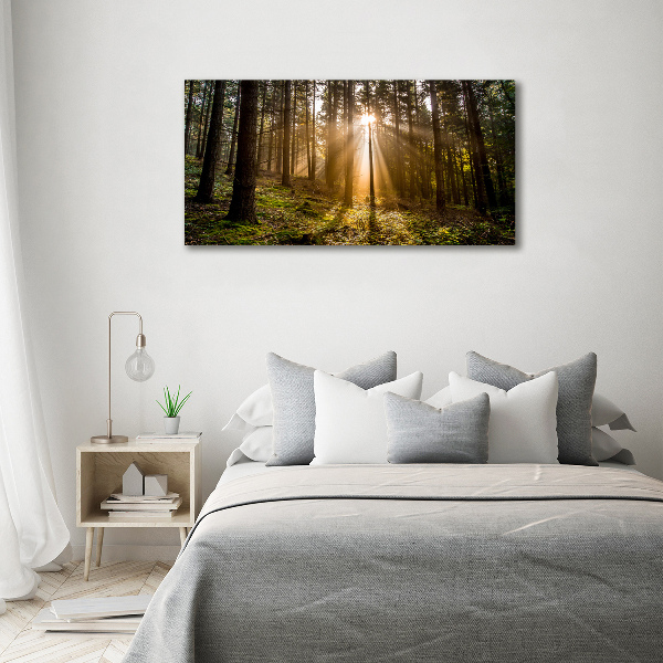 Foto op canvas Zonlicht